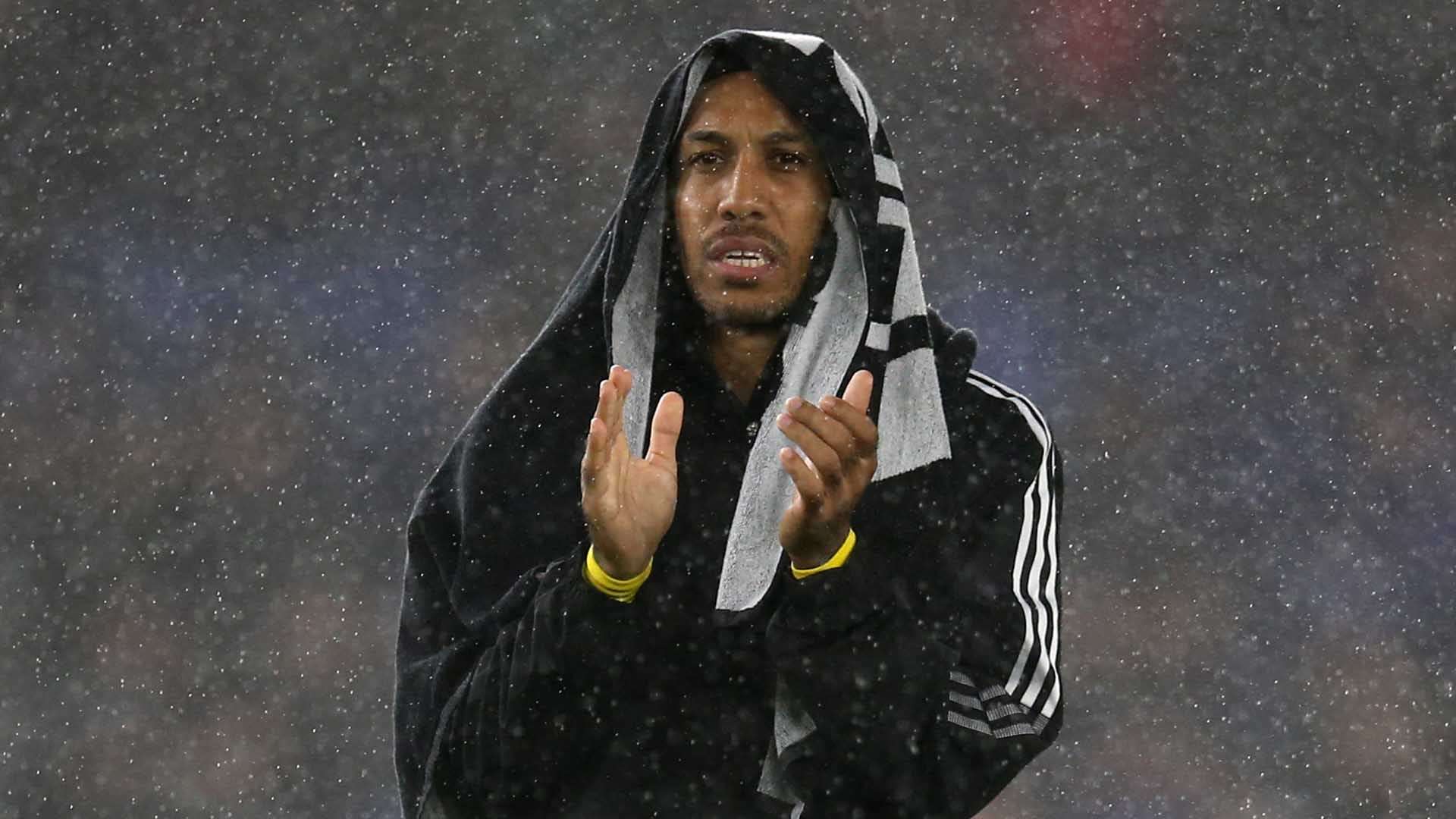 而应该学会 而应该学会