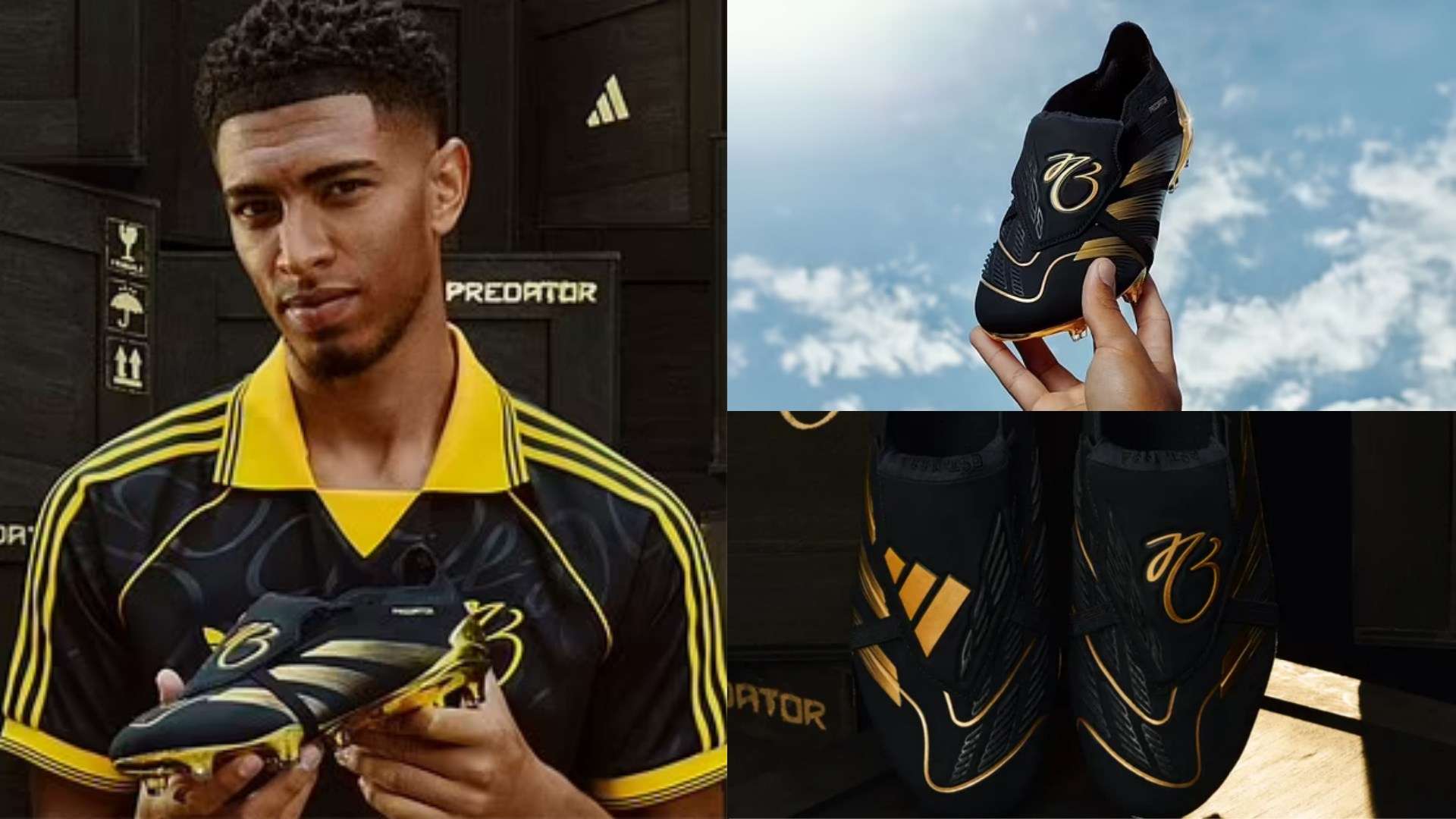 贵的楷模 贵的楷模